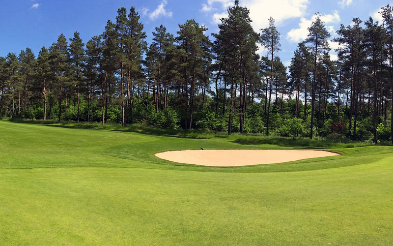 Газон на поле для гольфа