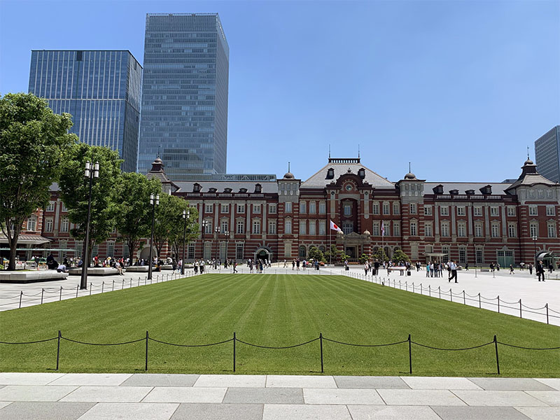 Партерный газон