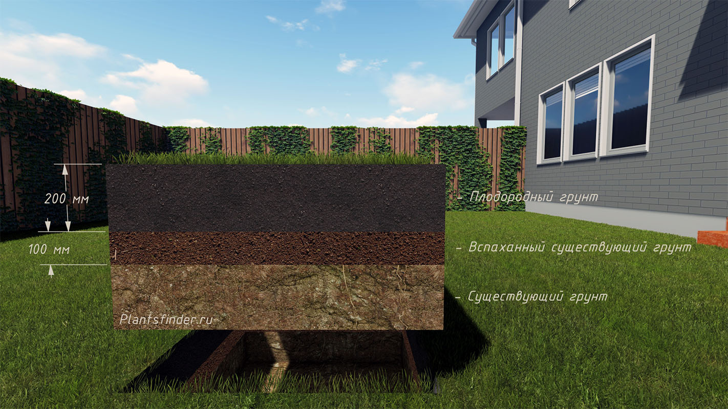 Устройство газона